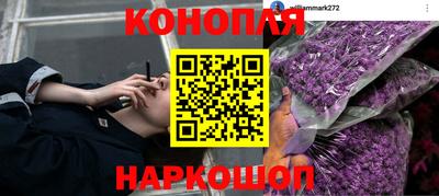 PSILOCYBIN Тула