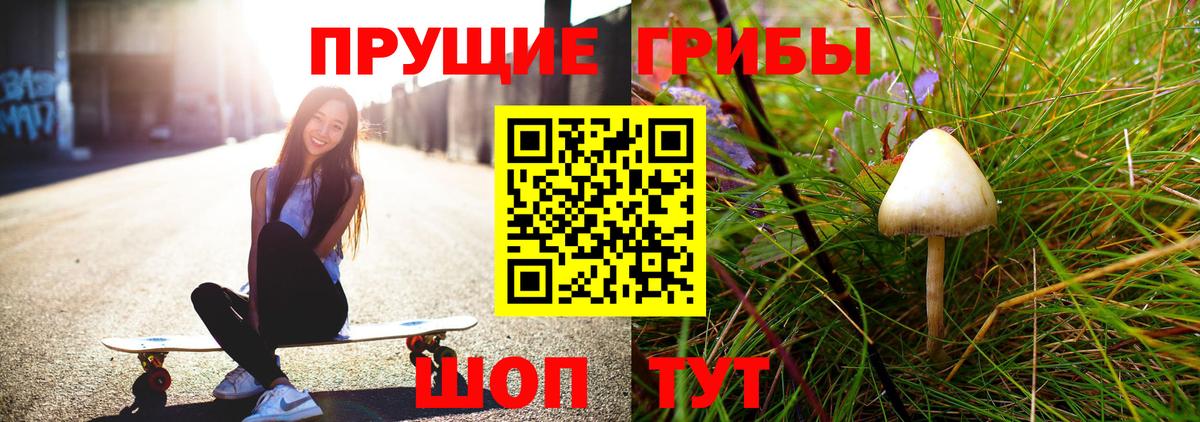 купить наркоту  Вход с VPN  Старый Оскол  Галлюциногенные грибы Psilocybe 