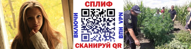 omg ссылки  Старый Оскол  Бошки Шишки сатива 